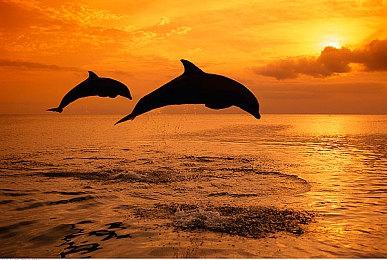 卡普空自我借鉴？《虚实万象》核心玩法源自《怪猎》